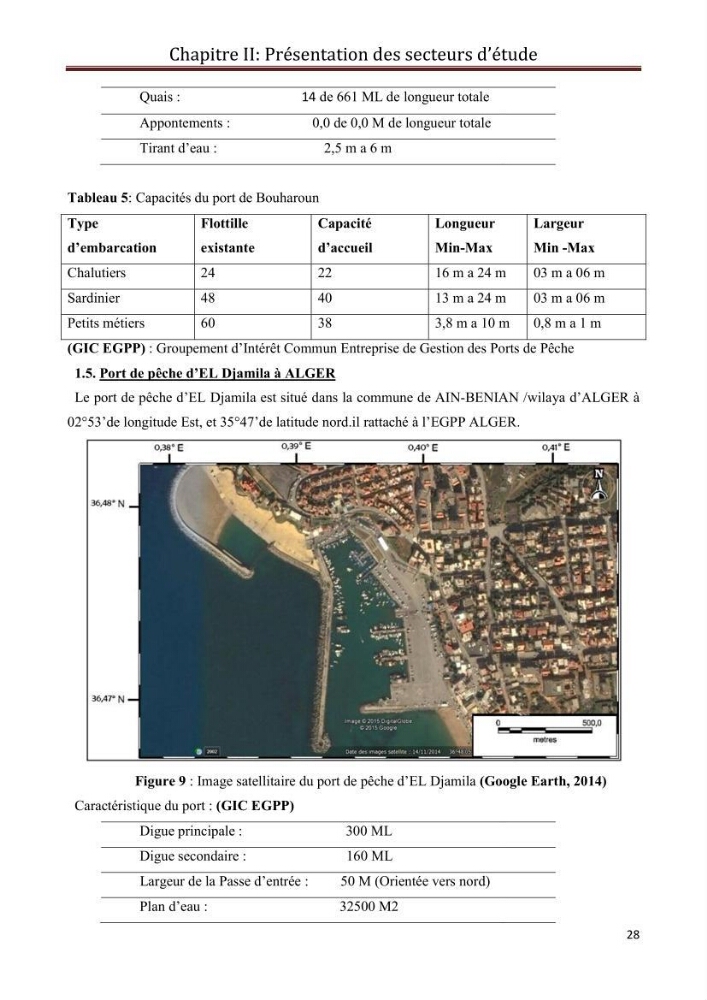 Contribution à l\'étude de la déprédation des petits delphinidés sur la pêche et interaction pêcherie-cétacés le long de la côte Algerienne: