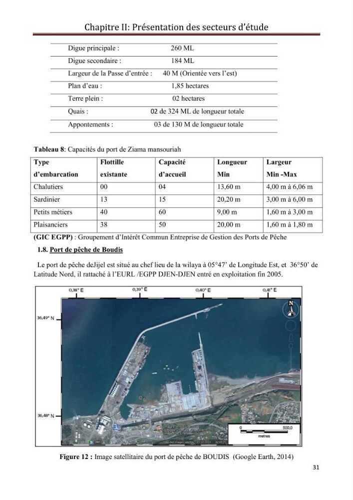 Contribution à l\'étude de la déprédation des petits delphinidés sur la pêche et interaction pêcherie-cétacés le long de la côte Algerienne: