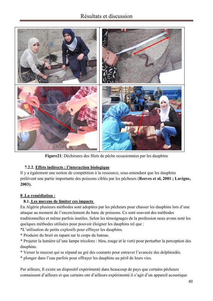 Contribution à l\'étude de la déprédation des petits delphinidés sur la pêche et interaction pêcherie-cétacés le long de la côte Algerienne: