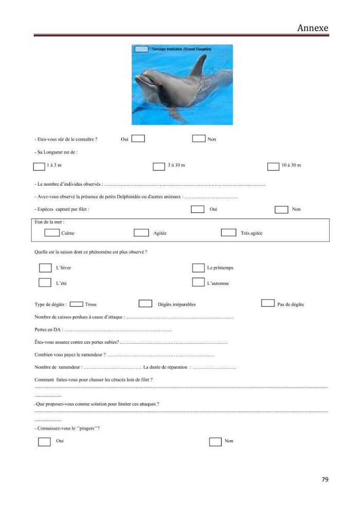 Contribution à l\'étude de la déprédation des petits delphinidés sur la pêche et interaction pêcherie-cétacés le long de la côte Algerienne: