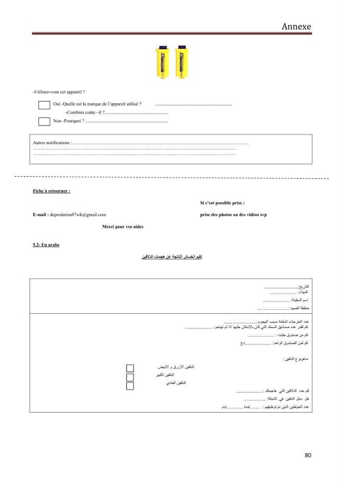 Contribution à l\'étude de la déprédation des petits delphinidés sur la pêche et interaction pêcherie-cétacés le long de la côte Algerienne: