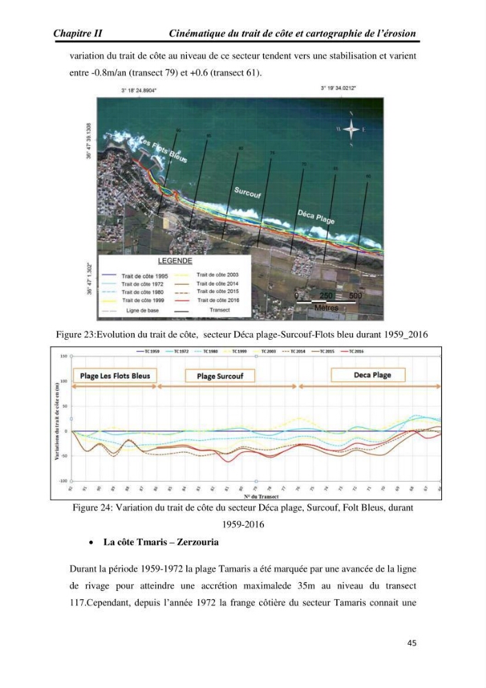 Etude et évaluation de l\'état de la vulnérabilité du système côtier de la zone Est-Algéroise
