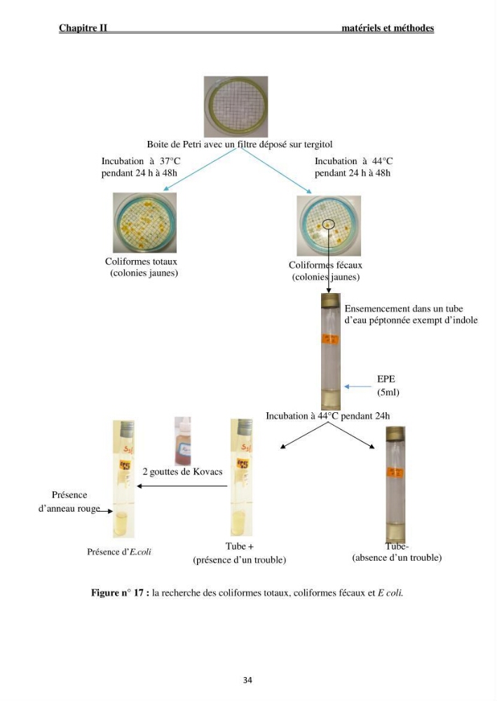 Caractérisation physico-chimique et bactériologique des eaux de la ferme d\'élevage de poissons marins ONDPA Cap Djinet (Wilaya de Boumerdes):