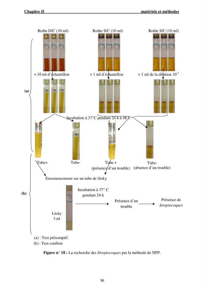 Caractérisation physico-chimique et bactériologique des eaux de la ferme d\'élevage de poissons marins ONDPA Cap Djinet (Wilaya de Boumerdes):