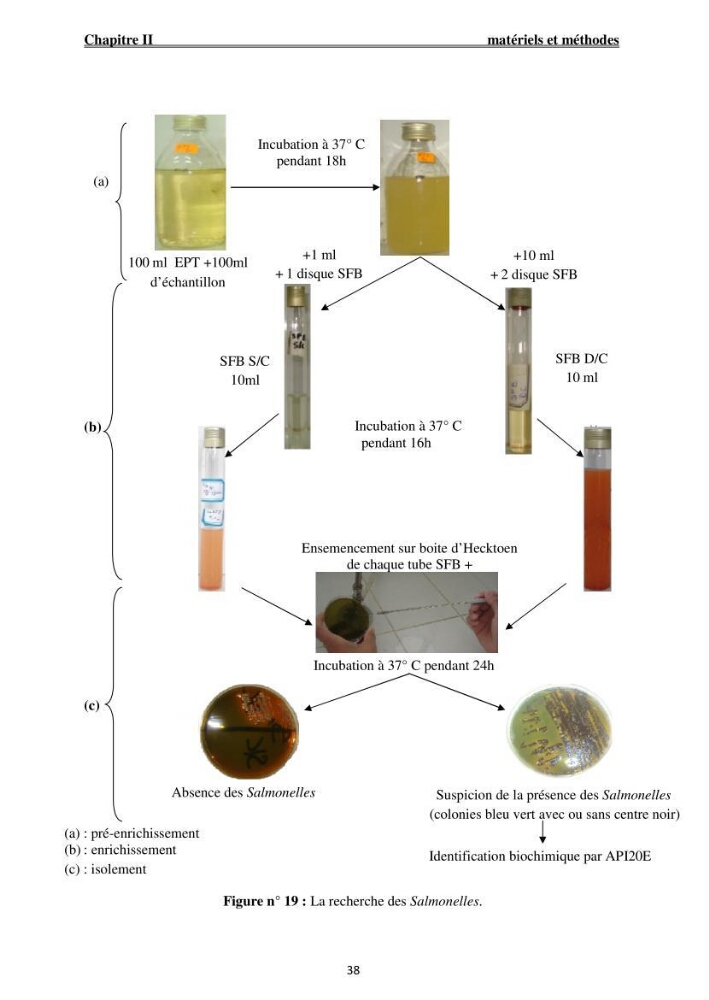 Caractérisation physico-chimique et bactériologique des eaux de la ferme d\'élevage de poissons marins ONDPA Cap Djinet (Wilaya de Boumerdes):