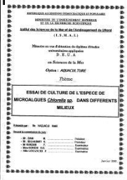 Essai de culture de l'espèce de microalgues Chlorella sp. dans différents milieux