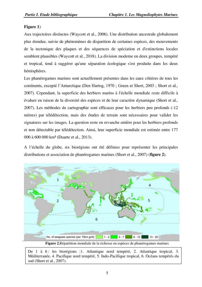 Etude des caractéristiques structurelles de Cymodocea nodosa (Ucria) Ascherson (1870) dans la baie de Bou Ismaïl
