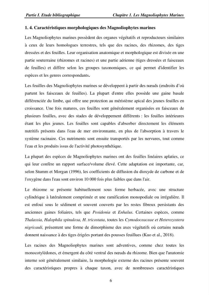 Etude des caractéristiques structurelles de Cymodocea nodosa (Ucria) Ascherson (1870) dans la baie de Bou Ismaïl