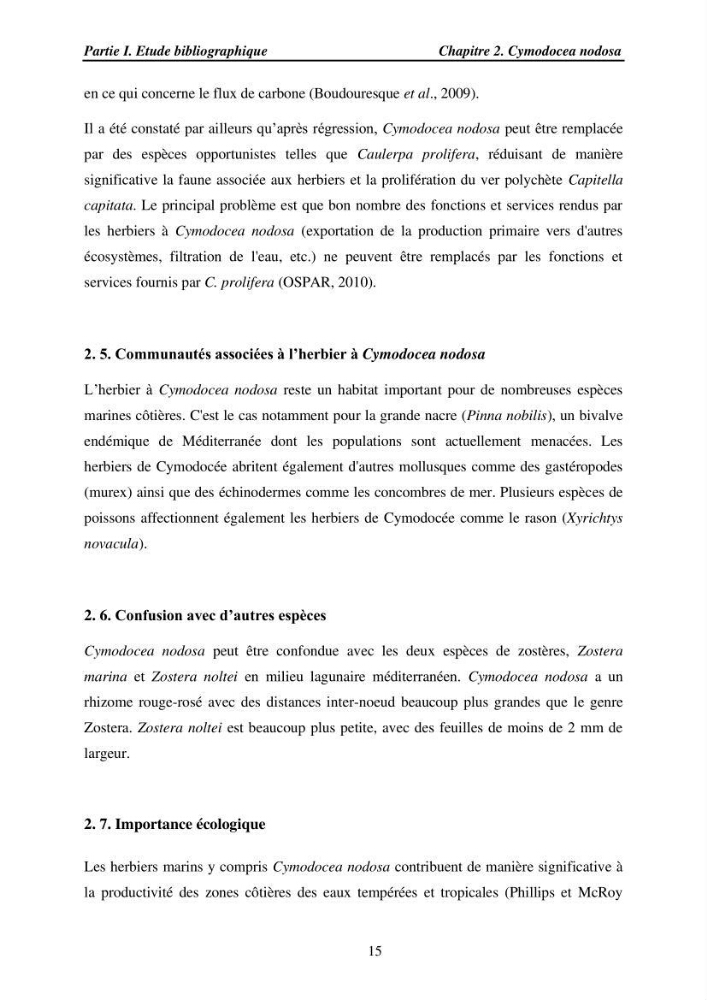 Etude des caractéristiques structurelles de Cymodocea nodosa (Ucria) Ascherson (1870) dans la baie de Bou Ismaïl