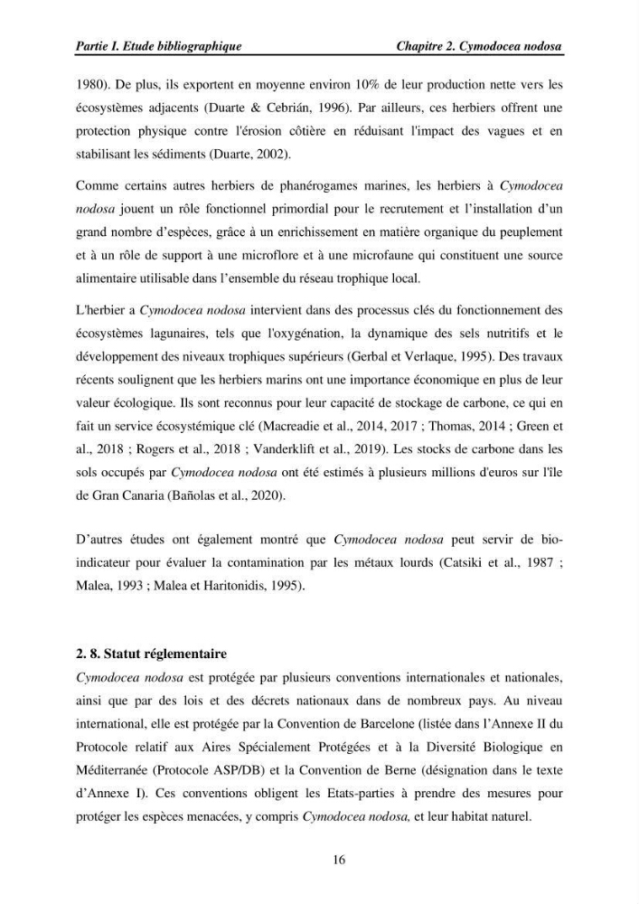 Etude des caractéristiques structurelles de Cymodocea nodosa (Ucria) Ascherson (1870) dans la baie de Bou Ismaïl