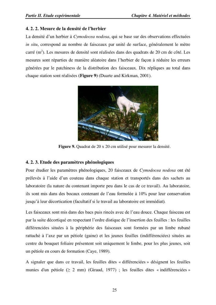 Etude des caractéristiques structurelles de Cymodocea nodosa (Ucria) Ascherson (1870) dans la baie de Bou Ismaïl