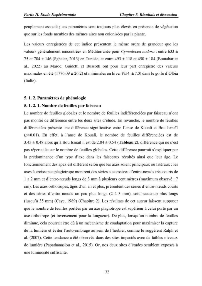 Etude des caractéristiques structurelles de Cymodocea nodosa (Ucria) Ascherson (1870) dans la baie de Bou Ismaïl