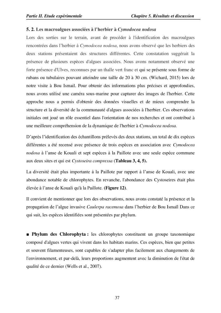 Etude des caractéristiques structurelles de Cymodocea nodosa (Ucria) Ascherson (1870) dans la baie de Bou Ismaïl