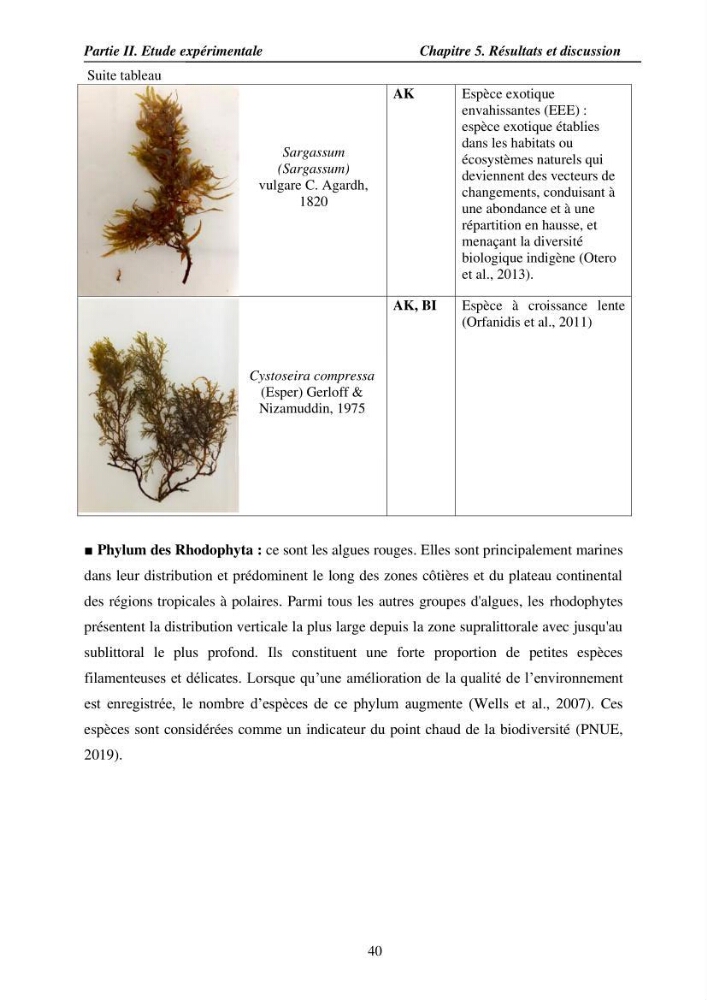Etude des caractéristiques structurelles de Cymodocea nodosa (Ucria) Ascherson (1870) dans la baie de Bou Ismaïl