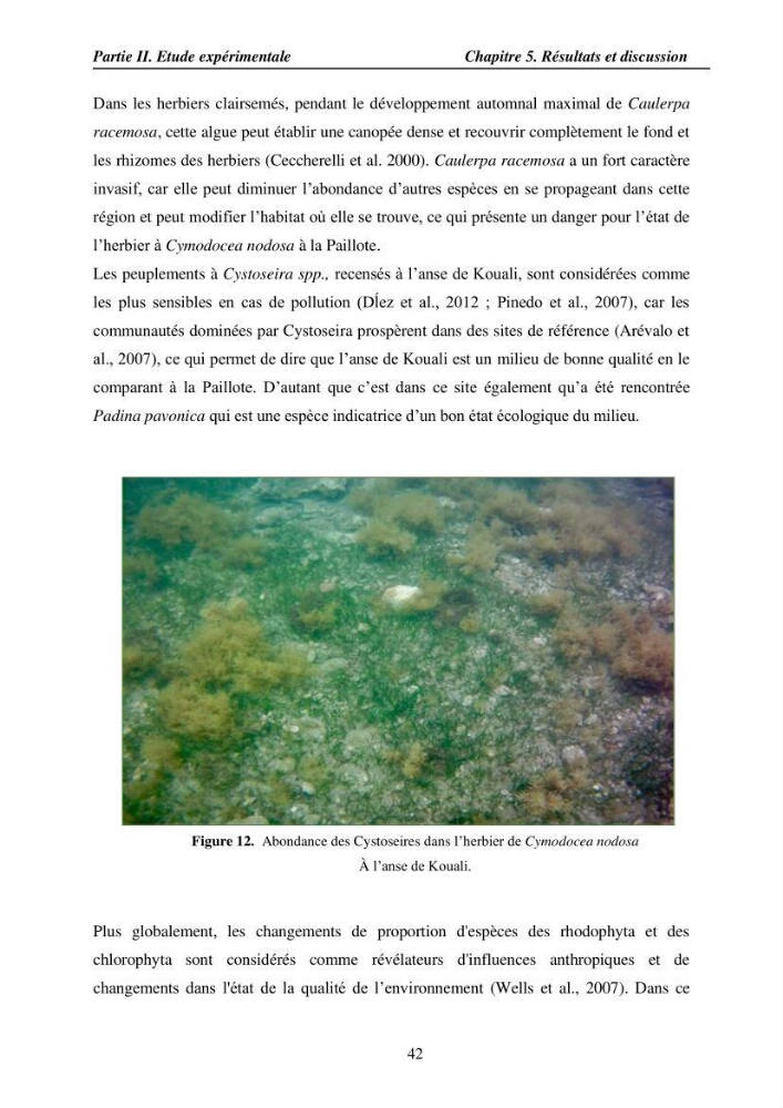 Etude des caractéristiques structurelles de Cymodocea nodosa (Ucria) Ascherson (1870) dans la baie de Bou Ismaïl