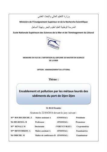 Ensablement et pollution par les métaux lourds des sédiments du port de Djen Djen Ensablement et pollution par les métaux lourds des sédiments du port de Djen Djen