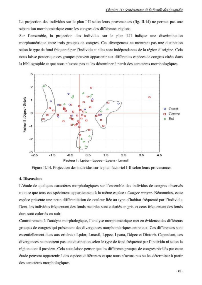 La famille des congridae ( Ostéichtyens, Anguilliformes) dans le bassin algérien: systématique, écologie et exploitation de Conger conger
