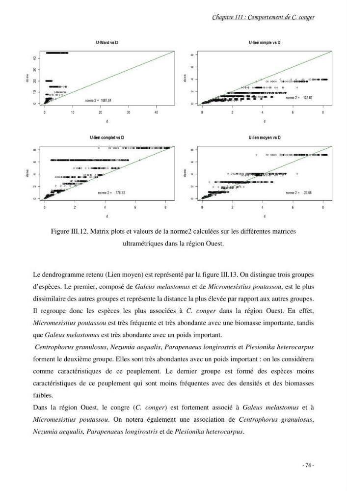 La famille des congridae ( Ostéichtyens, Anguilliformes) dans le bassin algérien: systématique, écologie et exploitation de Conger conger