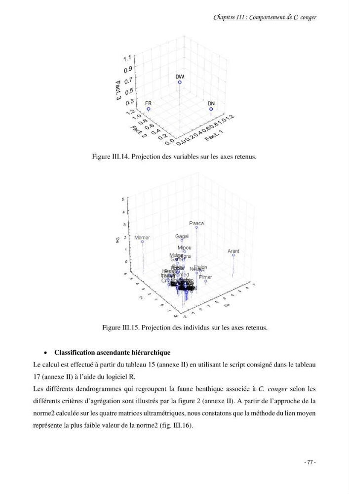 La famille des congridae ( Ostéichtyens, Anguilliformes) dans le bassin algérien: systématique, écologie et exploitation de Conger conger