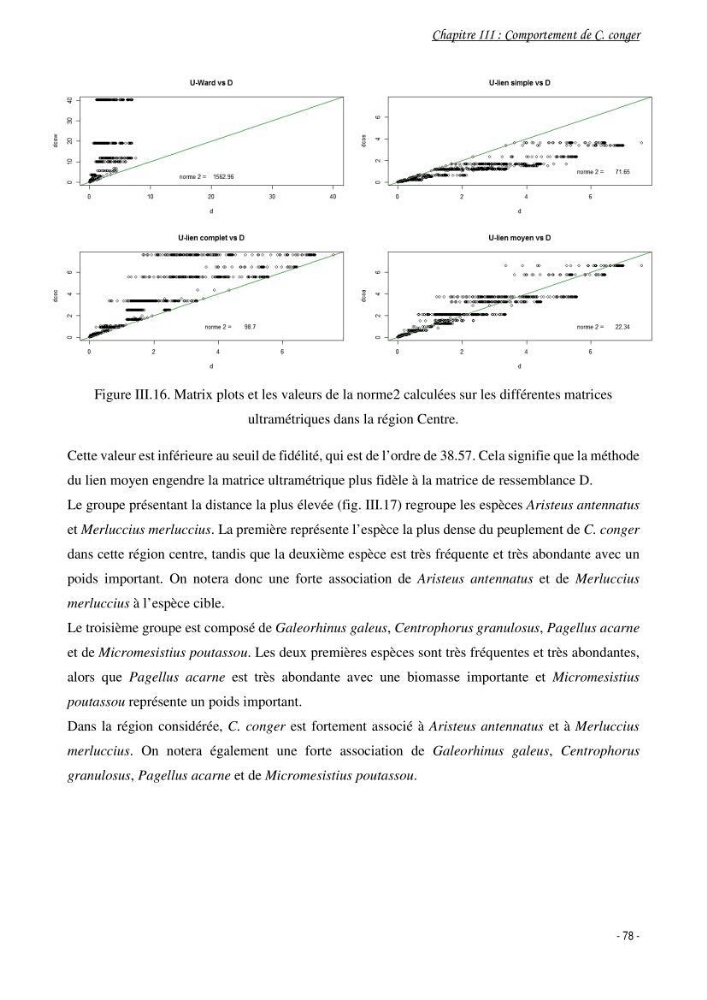 La famille des congridae ( Ostéichtyens, Anguilliformes) dans le bassin algérien: systématique, écologie et exploitation de Conger conger