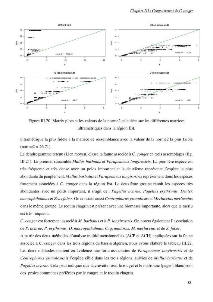 La famille des congridae ( Ostéichtyens, Anguilliformes) dans le bassin algérien: systématique, écologie et exploitation de Conger conger