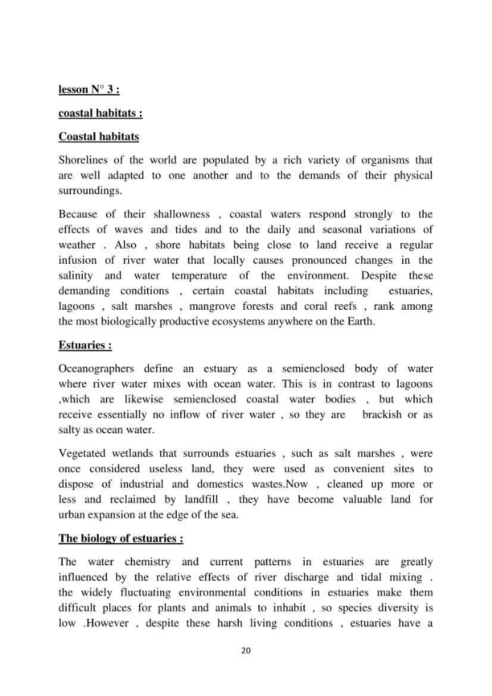 English Syllabus