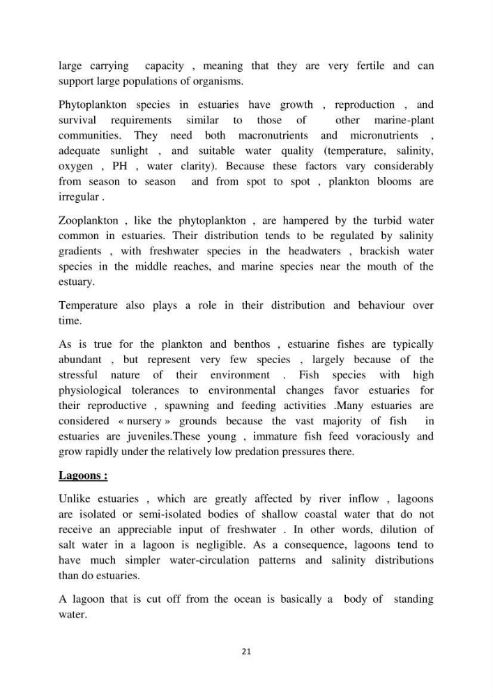 English Syllabus
