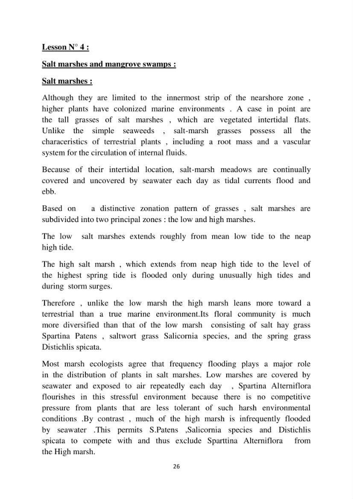 English Syllabus