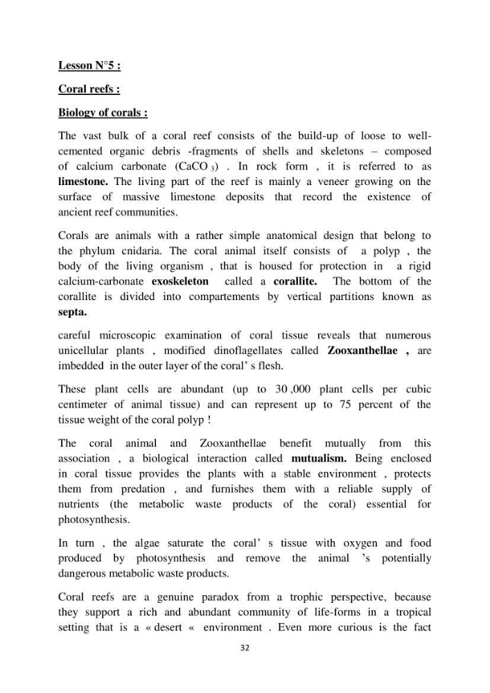 English Syllabus