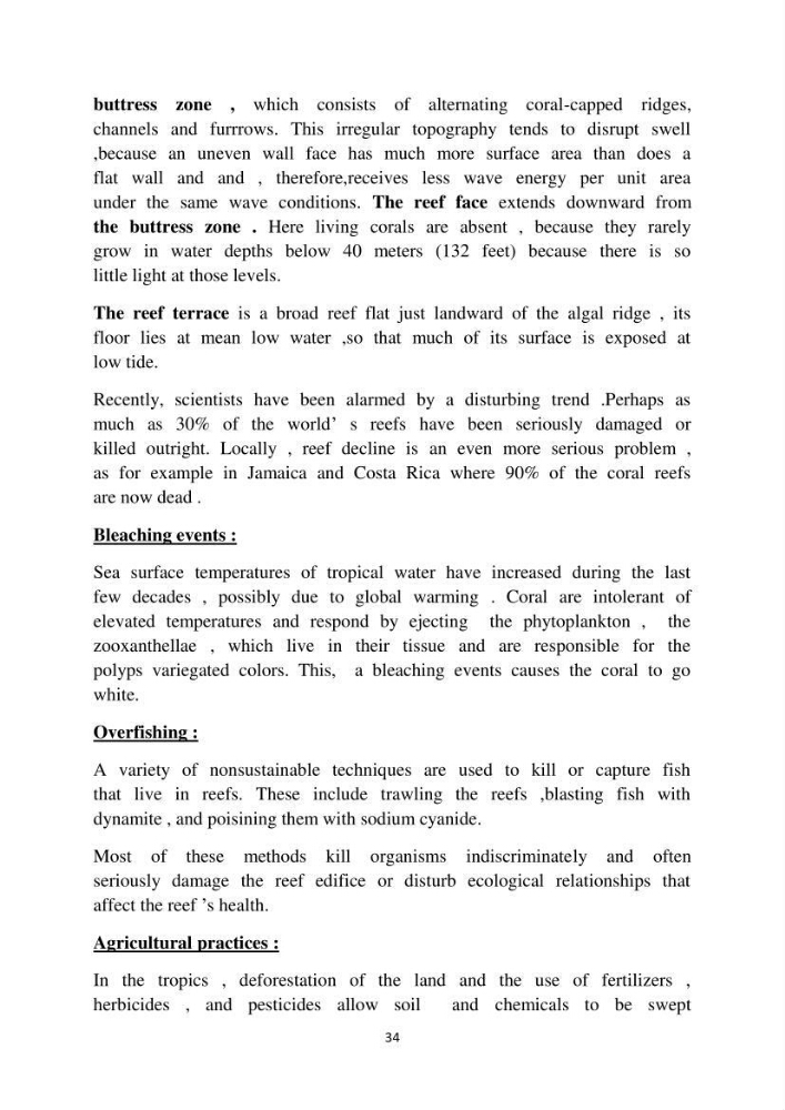 English Syllabus