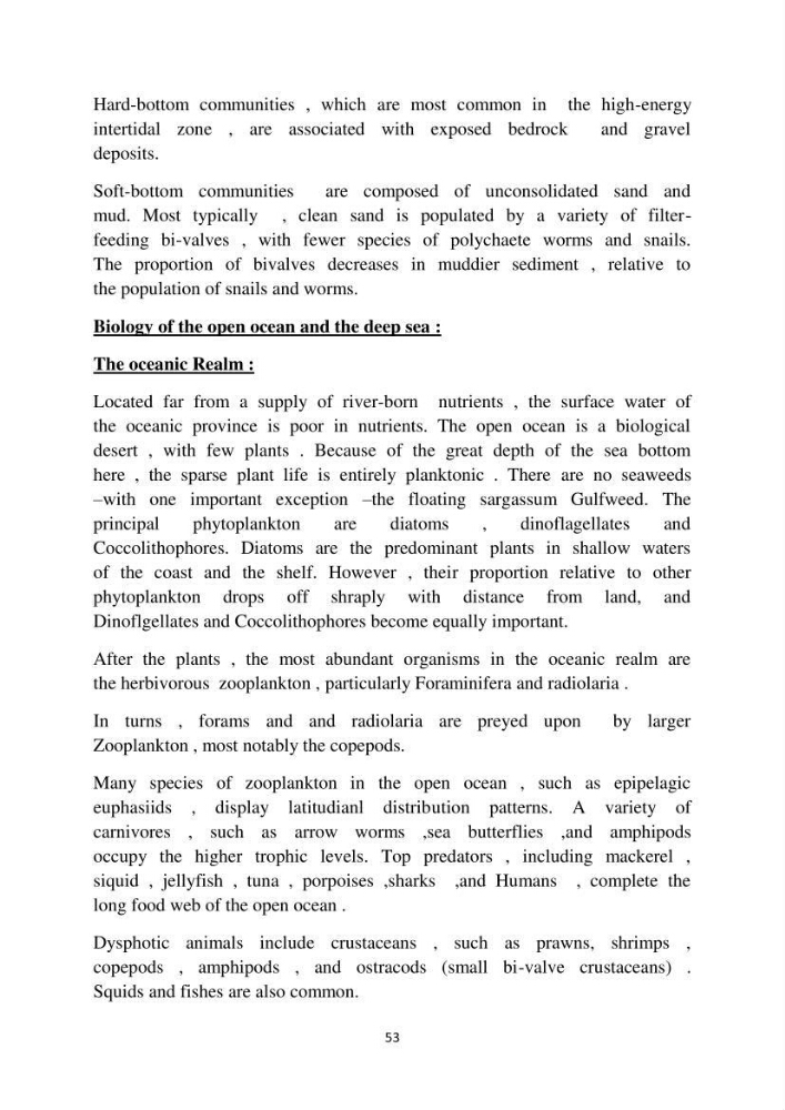 English Syllabus