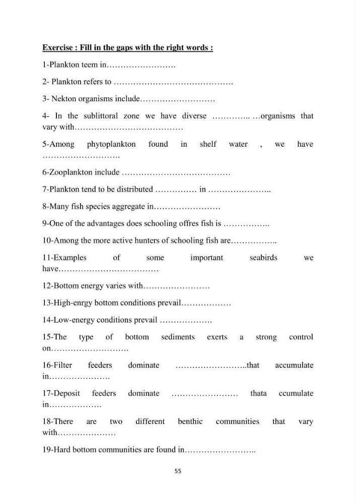 English Syllabus