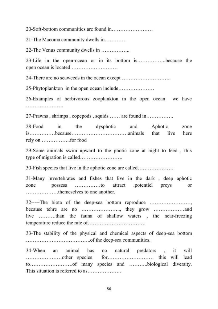 English Syllabus