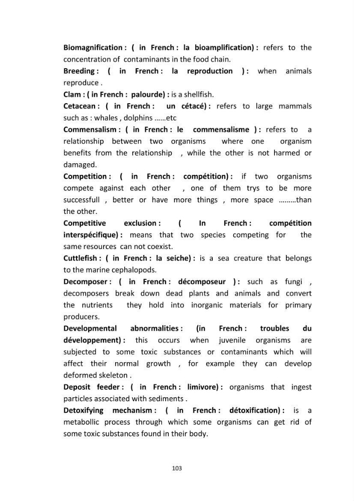 English Syllabus