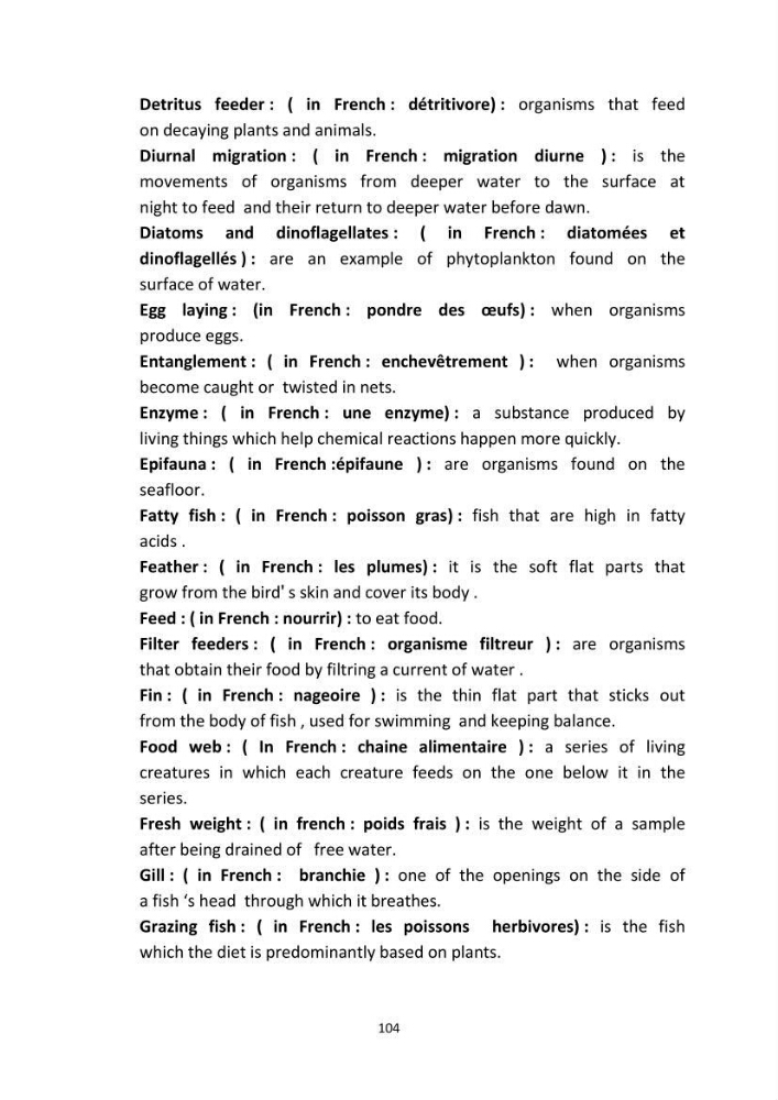 English Syllabus
