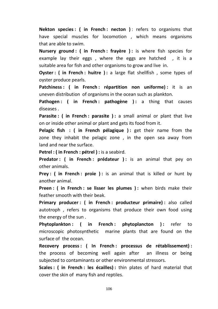 English Syllabus