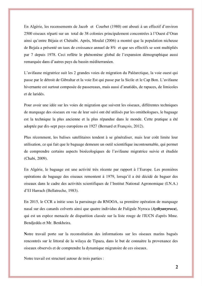 Reconstitution des informations sur les oiseaux marins bagués rencontrés sur le littoral de la wilaya de Tipaza
