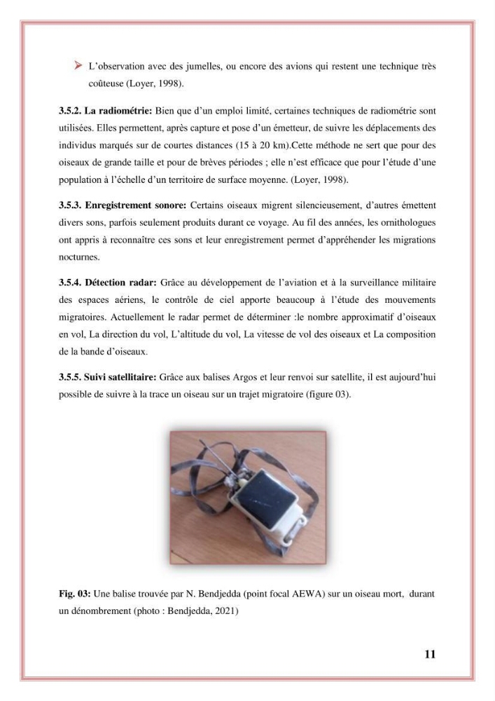 Reconstitution des informations sur les oiseaux marins bagués rencontrés sur le littoral de la wilaya de Tipaza