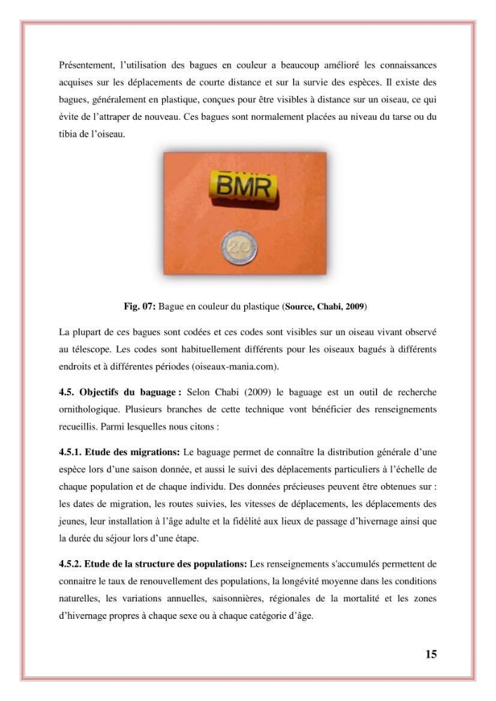 Reconstitution des informations sur les oiseaux marins bagués rencontrés sur le littoral de la wilaya de Tipaza