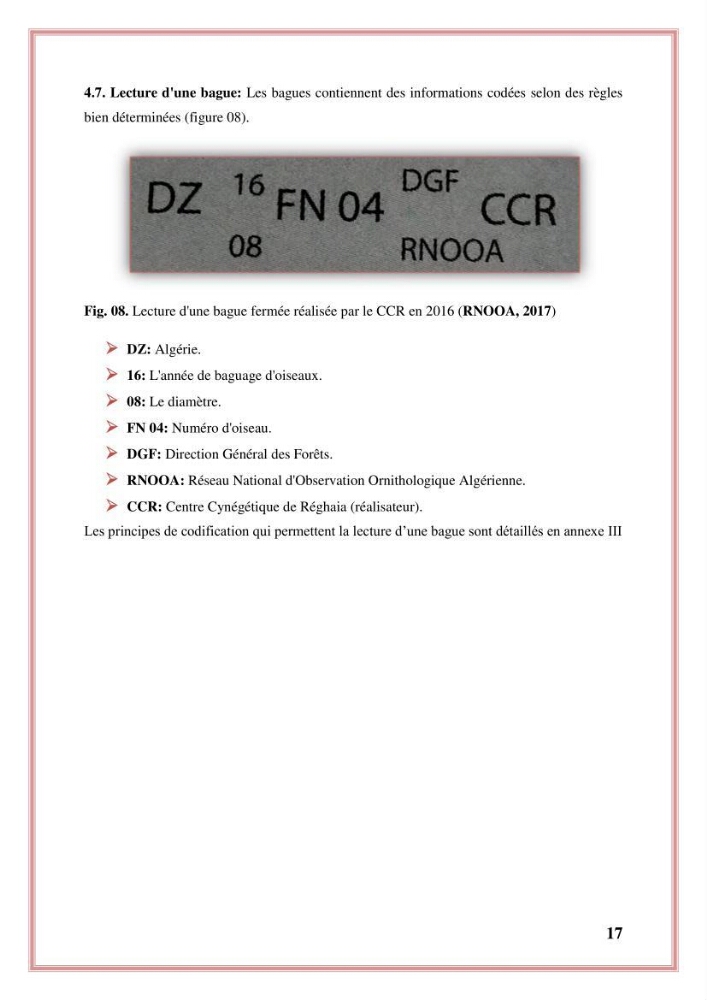 Reconstitution des informations sur les oiseaux marins bagués rencontrés sur le littoral de la wilaya de Tipaza