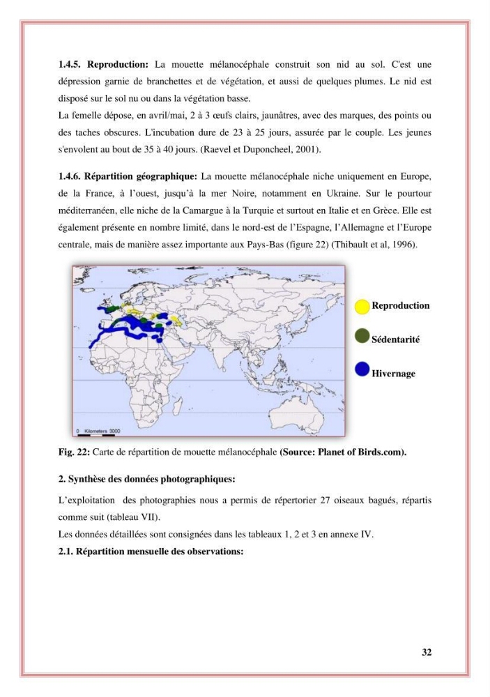 Reconstitution des informations sur les oiseaux marins bagués rencontrés sur le littoral de la wilaya de Tipaza