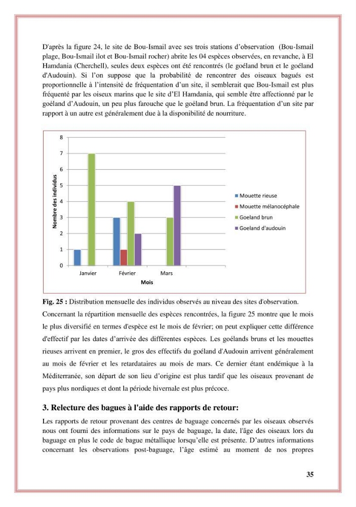 Reconstitution des informations sur les oiseaux marins bagués rencontrés sur le littoral de la wilaya de Tipaza