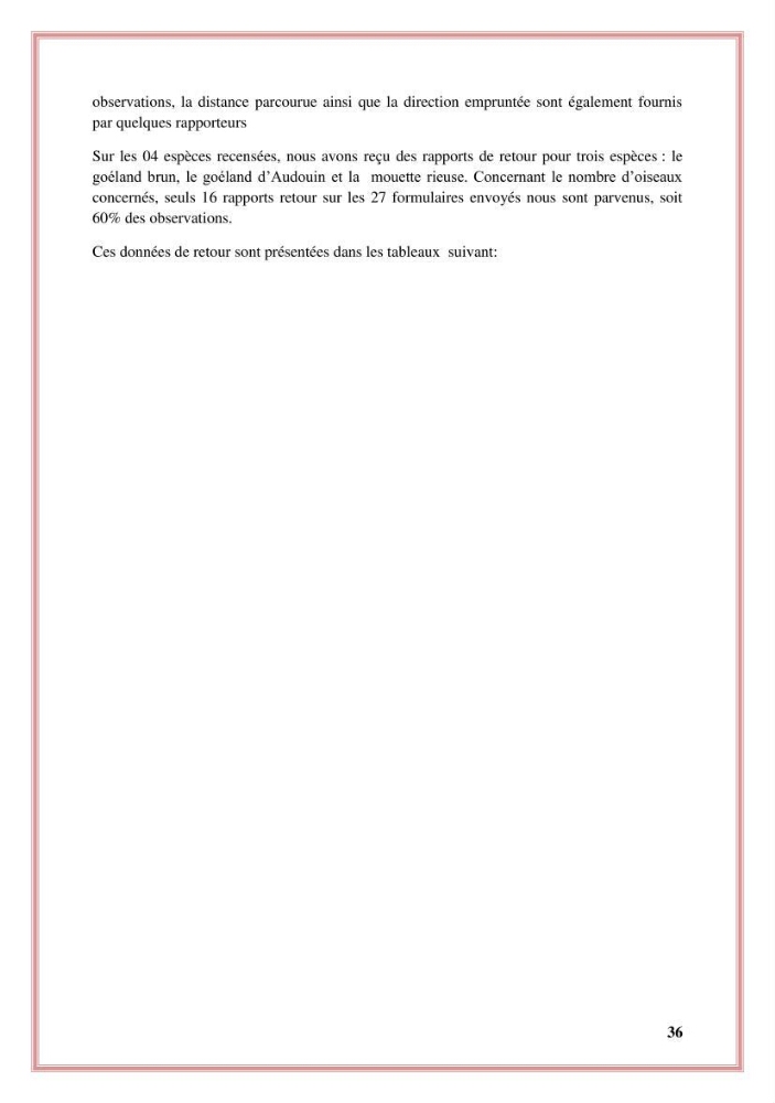 Reconstitution des informations sur les oiseaux marins bagués rencontrés sur le littoral de la wilaya de Tipaza