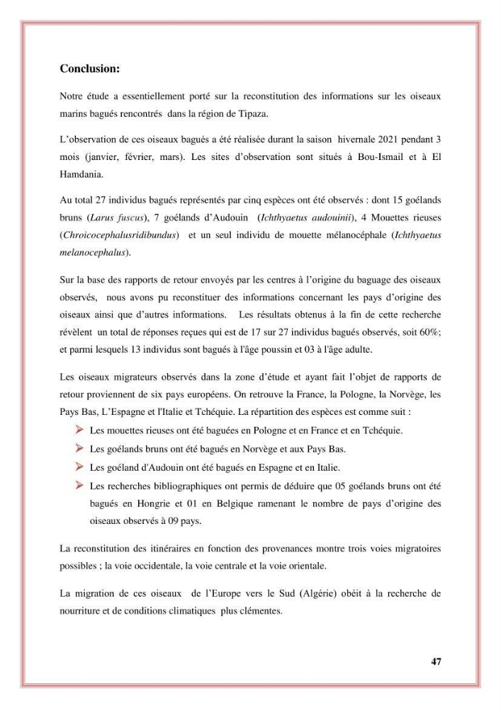 Reconstitution des informations sur les oiseaux marins bagués rencontrés sur le littoral de la wilaya de Tipaza