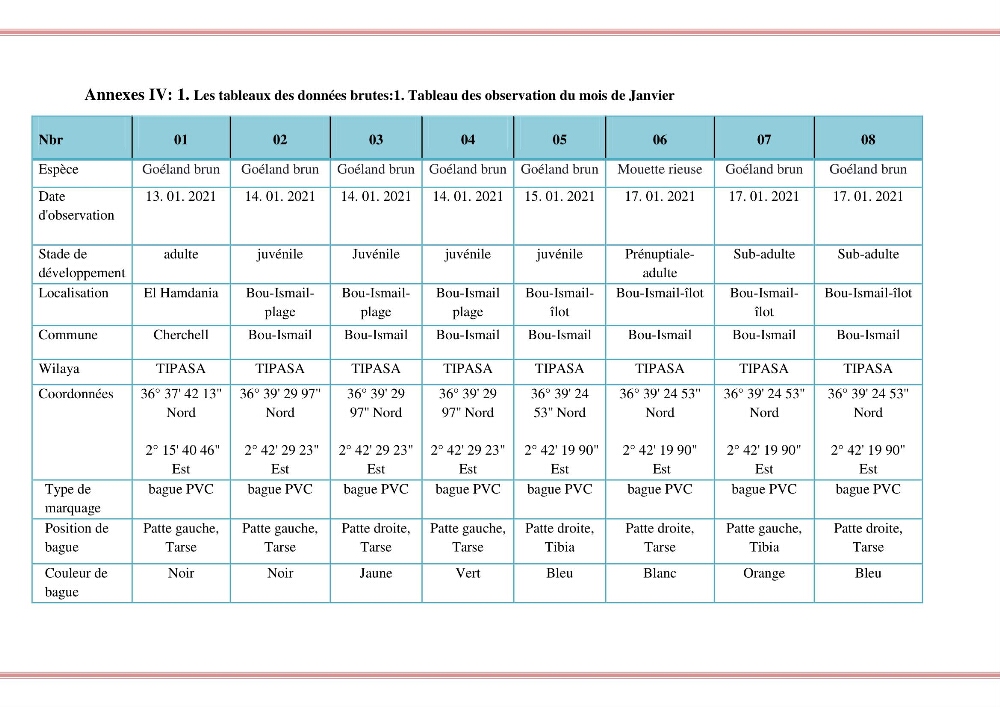 Reconstitution des informations sur les oiseaux marins bagués rencontrés sur le littoral de la wilaya de Tipaza