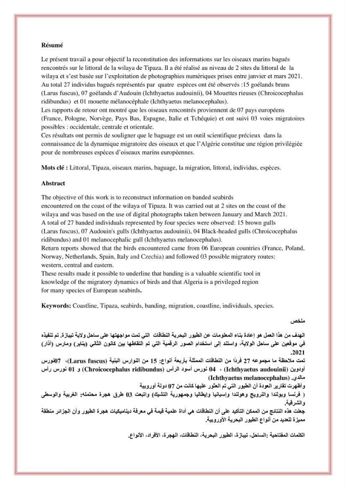 Reconstitution des informations sur les oiseaux marins bagués rencontrés sur le littoral de la wilaya de Tipaza