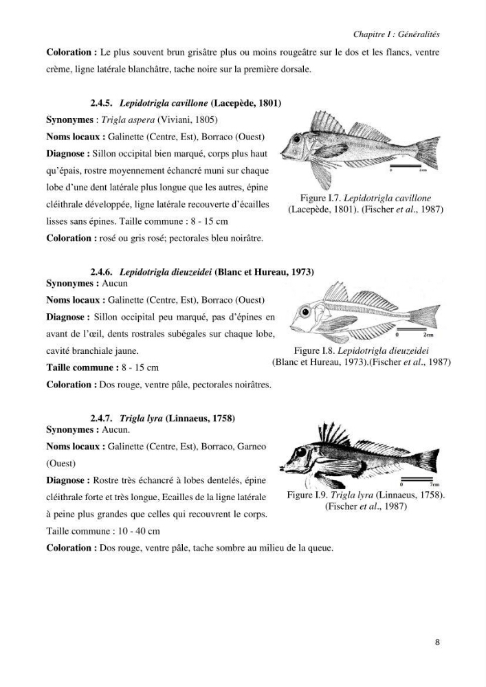 Contribution à l’étude de la systématique de la famille des Triglidae (Ostéichtyens, Actinoptérygiens) du bassin algérien