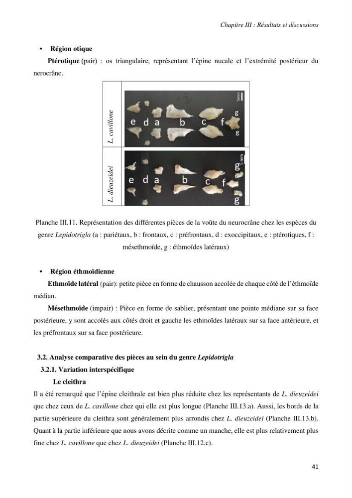 Contribution à l’étude de la systématique de la famille des Triglidae (Ostéichtyens, Actinoptérygiens) du bassin algérien