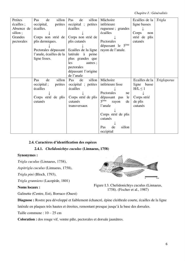 Contribution à l’étude de la systématique de la famille des Triglidae (Ostéichtyens, Actinoptérygiens) du bassin algérien