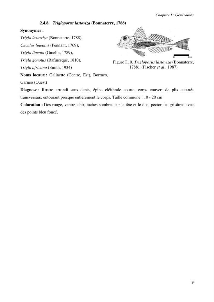 Contribution à l’étude de la systématique de la famille des Triglidae (Ostéichtyens, Actinoptérygiens) du bassin algérien